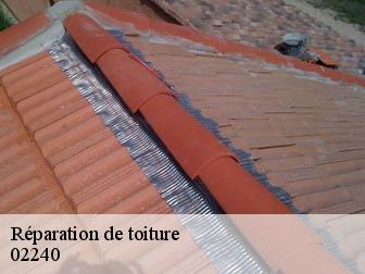 Réparation de toiture  02240