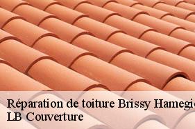 Réparation de toiture  brissy-hamegicourt-02240 LB Couverture