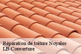 Réparation de toiture  noyales-02120 LB Couverture