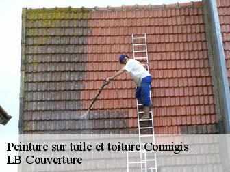 Peinture sur tuile et toiture  02330