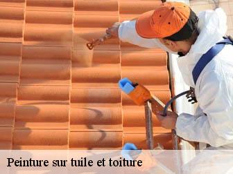 Peinture sur tuile et toiture  02110