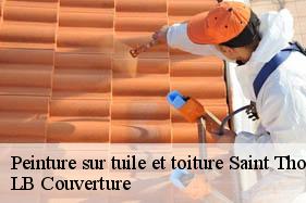 Peinture sur tuile et toiture  saint-thomas-02820 LB Couverture