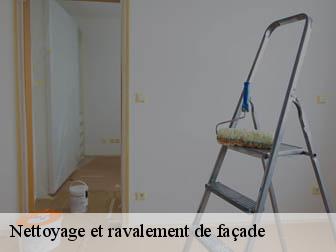 Nettoyage et ravalement de façade  02130