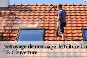 Nettoyage demoussage de toiture  cugny-les-crouttes-02210 LB Couverture